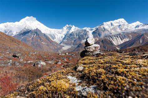 Langtang Mountain View