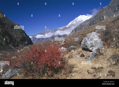 Langtang landscape