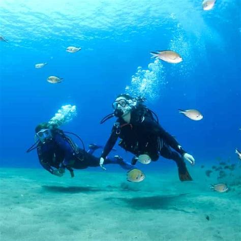 Lanzarote Scuba Diving: A First-Timer’s Review