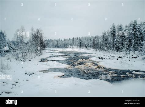 Lappish Wilderness