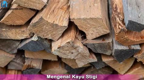 Larangan Kayu Stigi