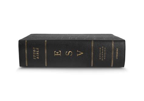 Discover Biblical Truths with Large Print ESV Study Bible