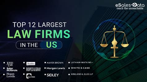 Large Law Firms