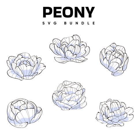 Download Large Peony Flowers SVG File - SVG Design Commercial Use Free PSD Mockups