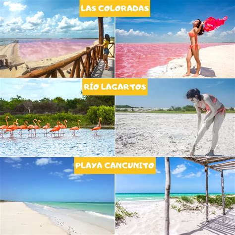 Las Coloradas Tour Guide