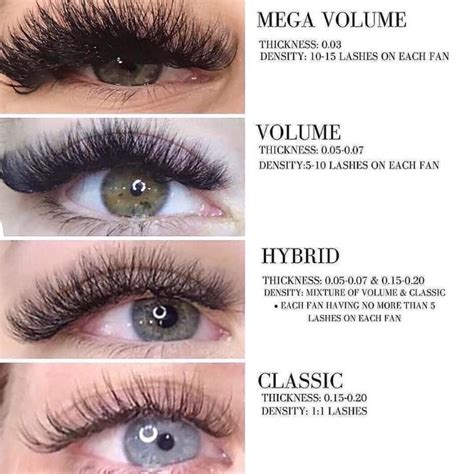 Lash Extension Style Chart