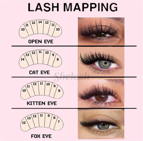 Lash Map Chart