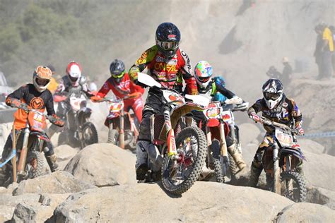 Last Dog Standing 2018