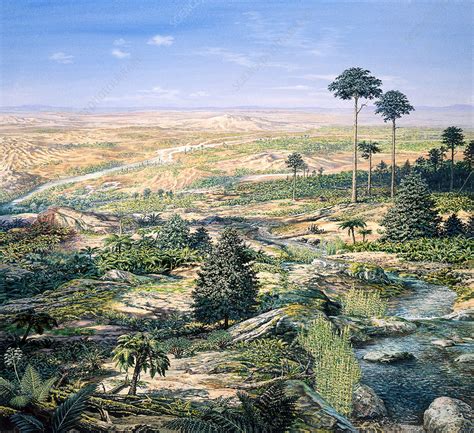 Late Triassic Environment