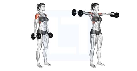 Lateral Dumbbell Raise