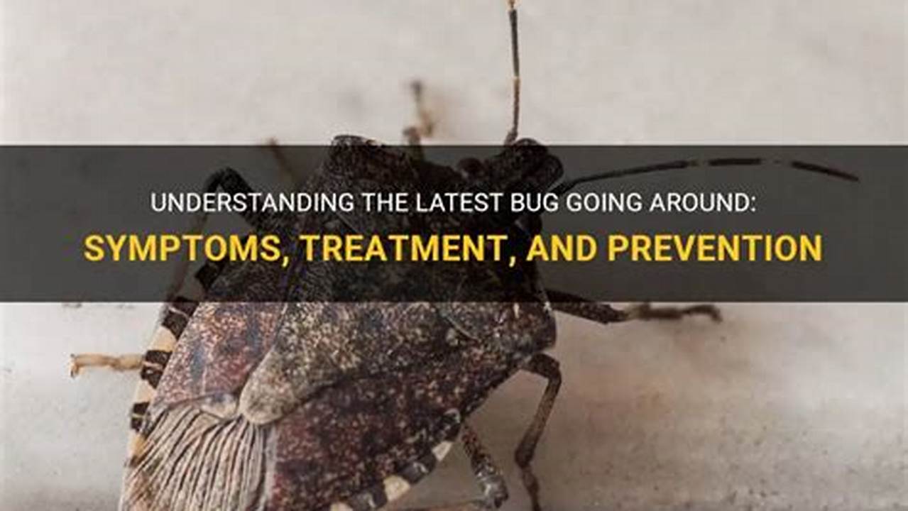 Latest Bug Going Around 2024