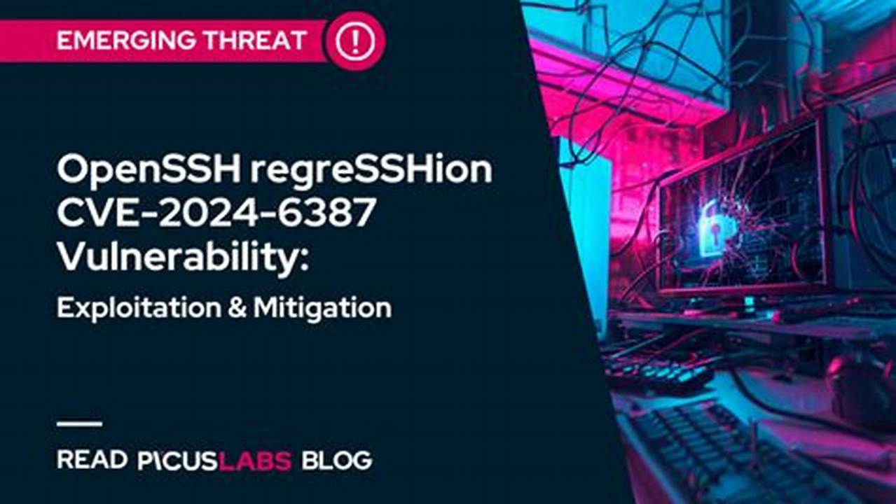 Latest Cve Vulnerabilities 2024