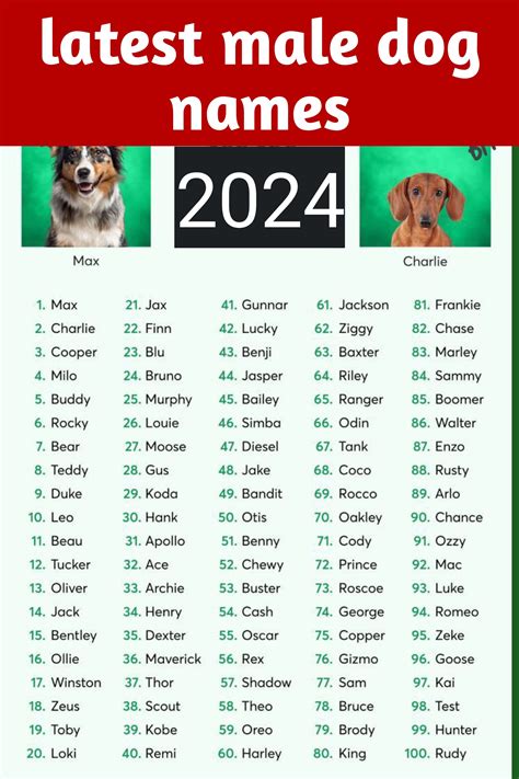 Latest Dog Names