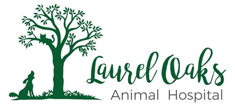 Leading Veterinary Care at Laurel Oaks Animal Hospital in Kingsland, GA - Compassionate and Professional Services for Your Furry Friends