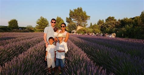 Lavender Field Tour Guide