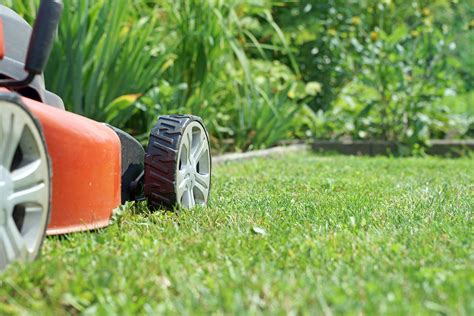 How to care for a lawn HireRush Blog