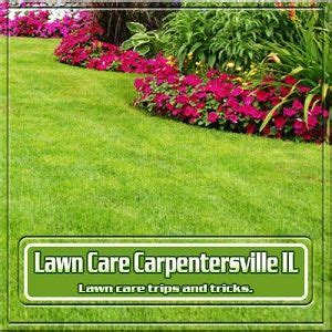 Lawn Care Aesthetic Value of Property