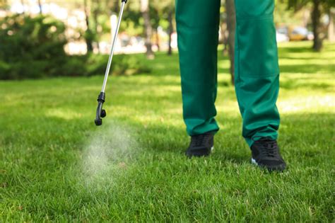 Lawn Care Preventing Pests and Diseases