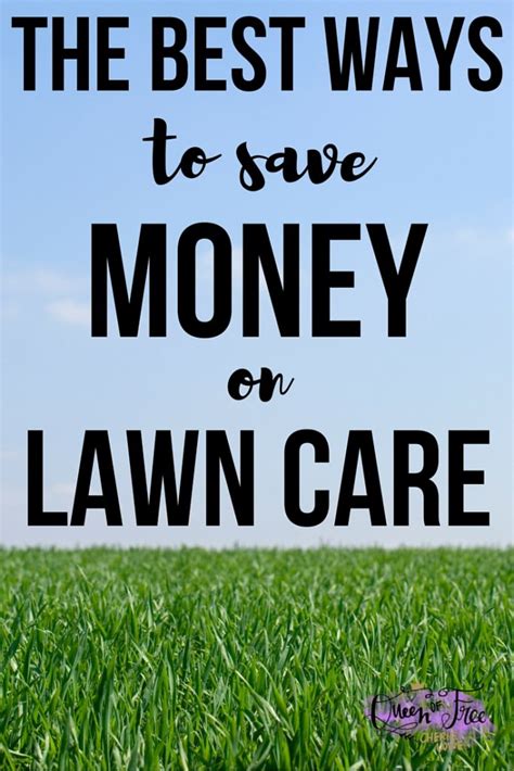 Lawn Care Savings Money in the Long Run