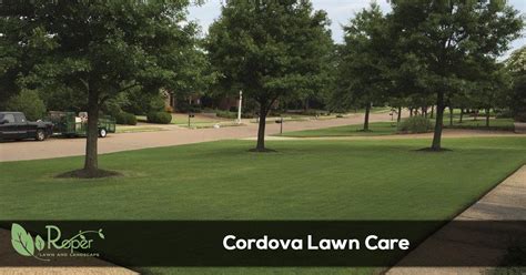 lawn-care-services-cordova-tn-appearance
