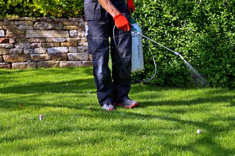 Lawn Care Services Pests and Weeds