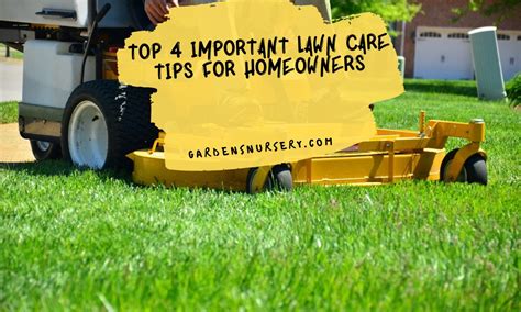 Lawn Care Tips for Homeowners