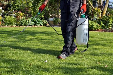 Lawn Care Weed and Pest Control