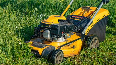 Lawn Mower Repair Detroit Warning Signs