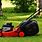 Lawn Mower with Grass