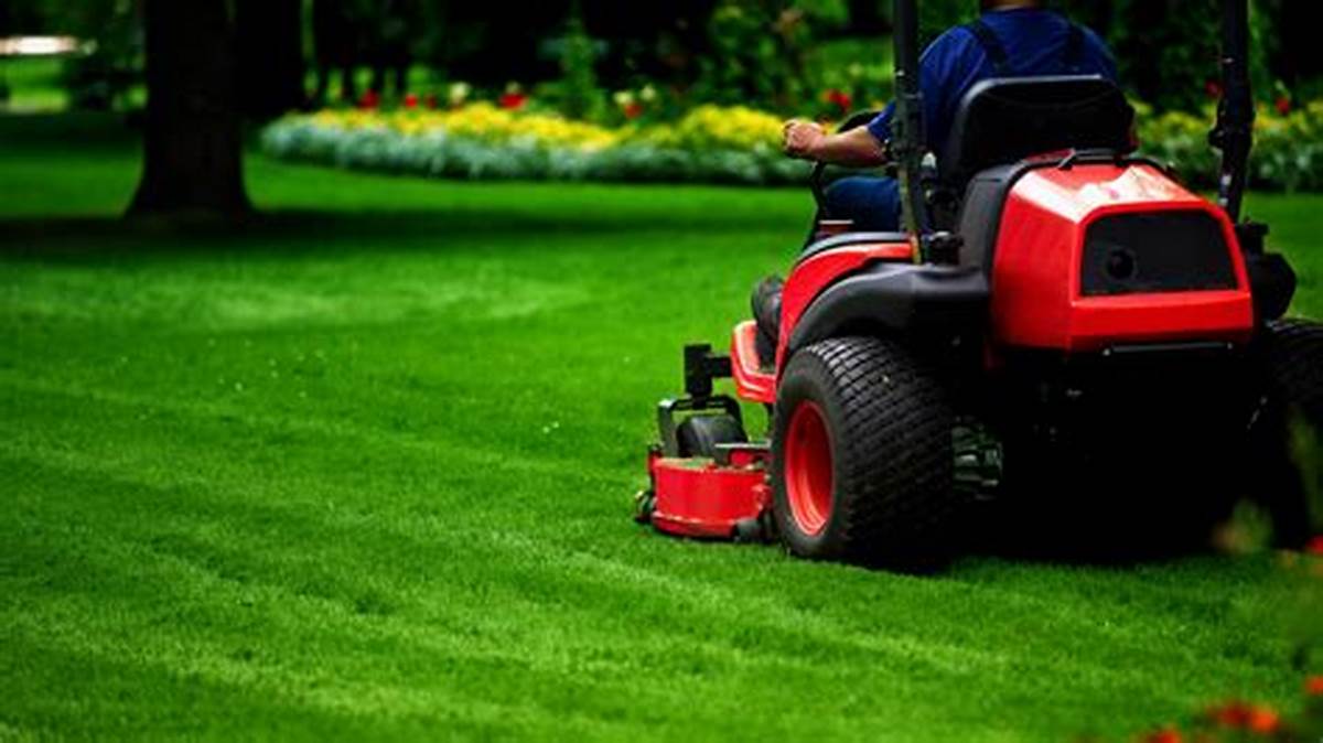 Importance of regular lawn maintenance