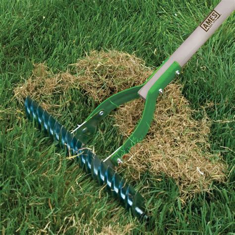 Lawn thatch remover