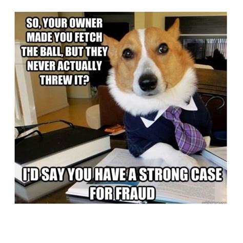 Lawyer Dog Meme