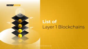 Layer 1 Rivals and Emerging Ecosystems