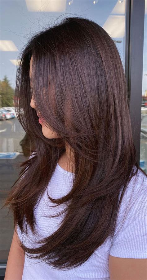 Layer Cut Hair Style Pic