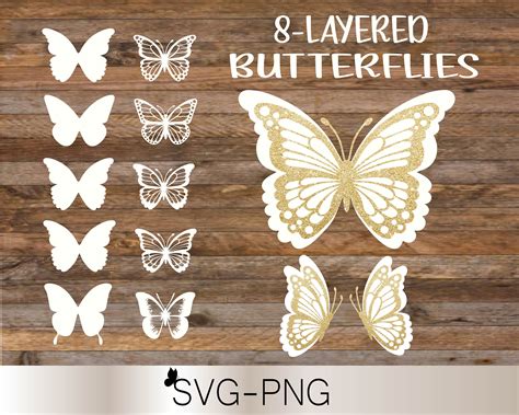 Download Layered Butterfly Bundle Cricut SVG