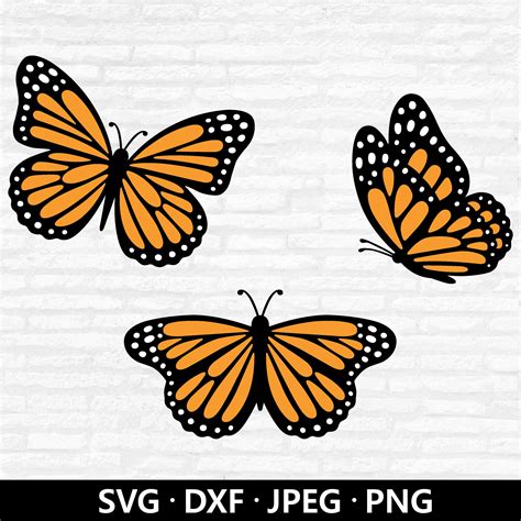 Download Layered Butterfly Bundle Files DXF Files