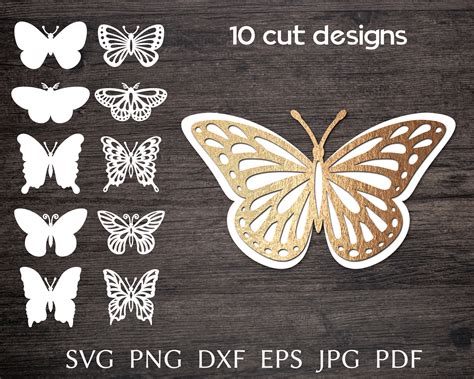 Download Layered Butterfly Cricut SVG