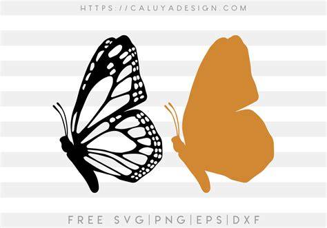 layered butterfly svg free