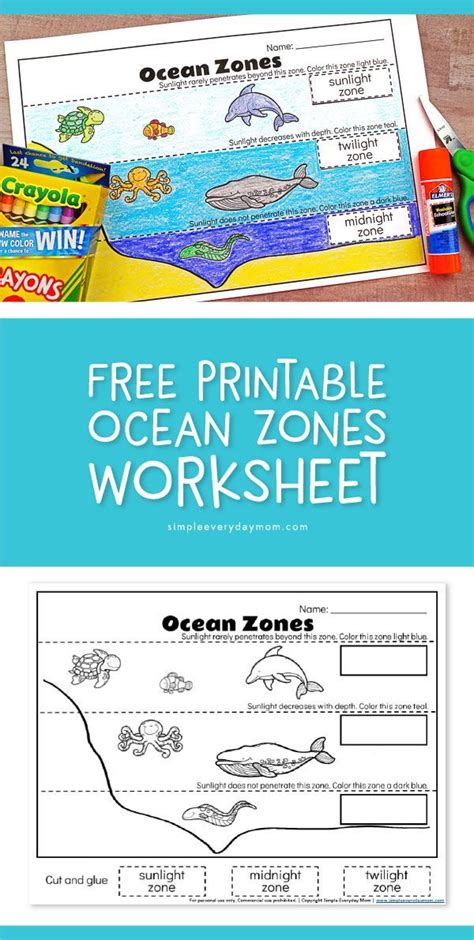 Layers Of The Ocean Worksheet