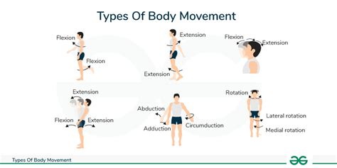 Layers for Movement and Body