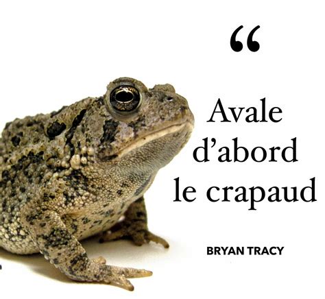 Le Crapaud