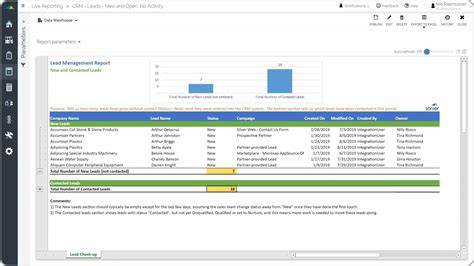 Lead Management Report Example - Example, Uses