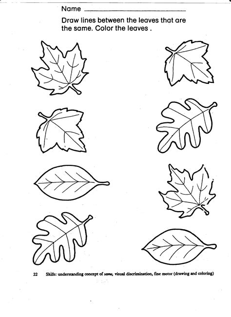Leaf Worksheets For Kindergarten
