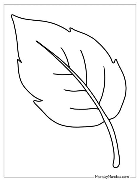 Leaf Color Pages