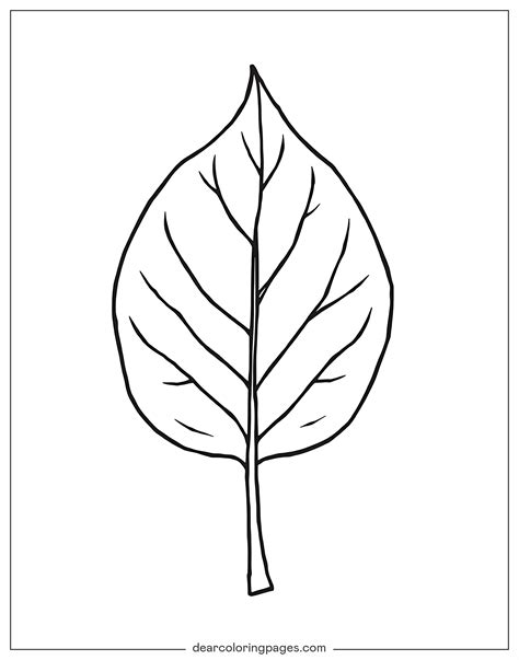 Leaf Coloring Pages