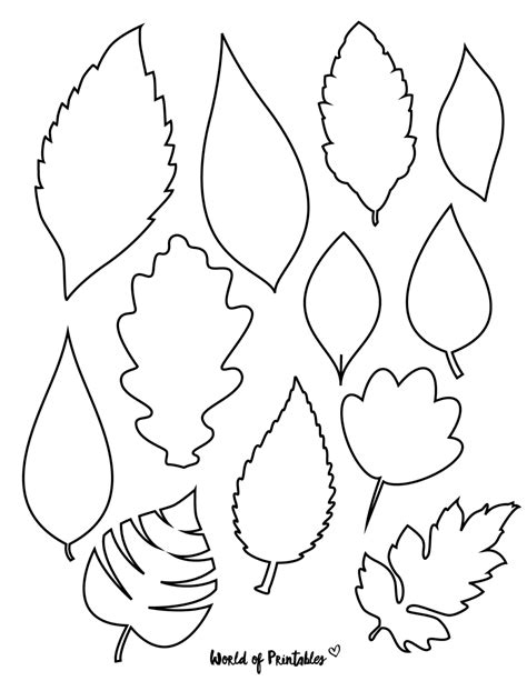 Leaf Cutout Template