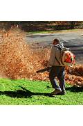 Leaf Removal in Lawn Care
