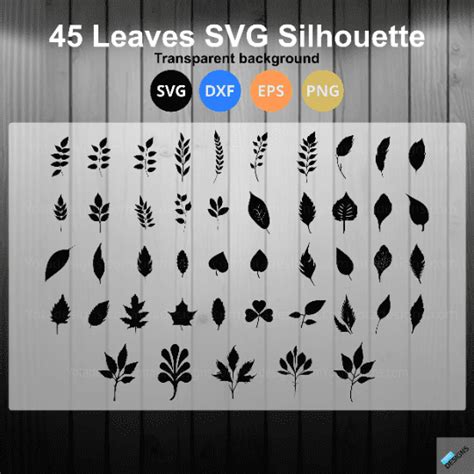 Download Leaf Svg Bundle For Silhouette