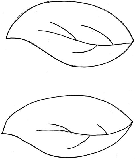 Leaf Template For Flowers