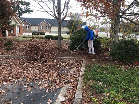 Leaf removal in Winder, GA